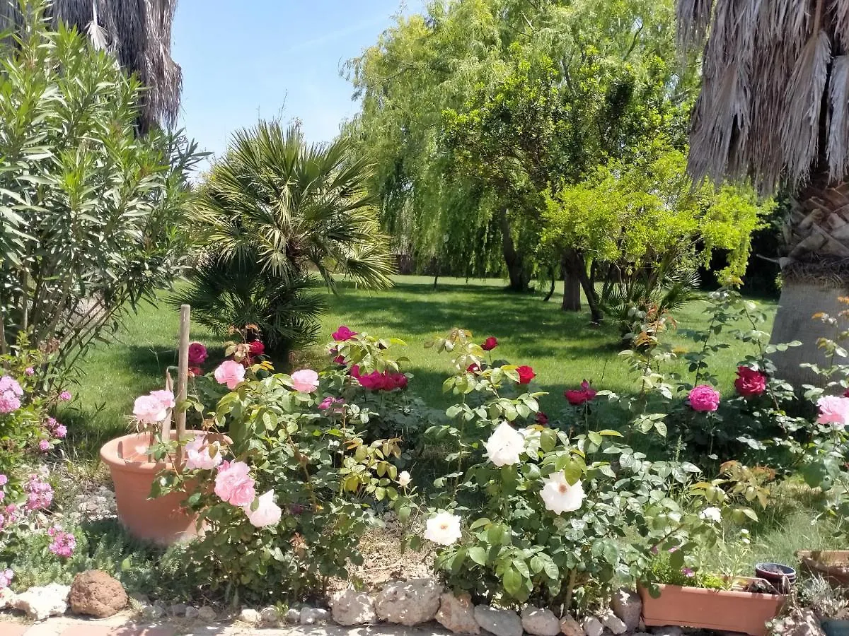 Le Rose Διαμέρισμα Olmedo Ιταλία