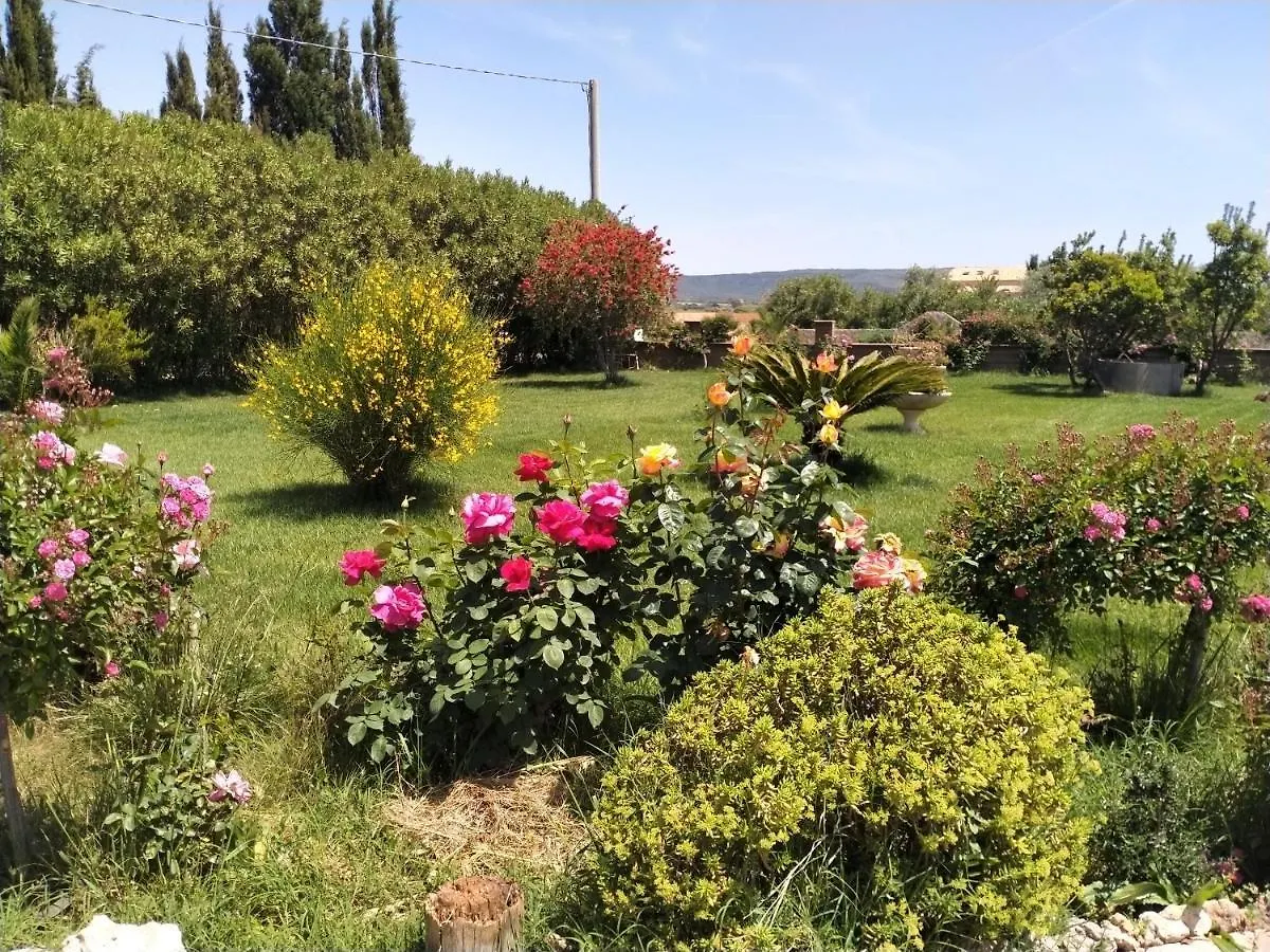 Le Rose Διαμέρισμα Olmedo